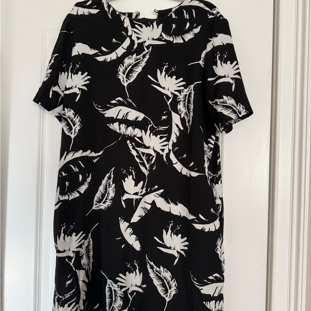 Adam Lippes Monochrome Floral Dress